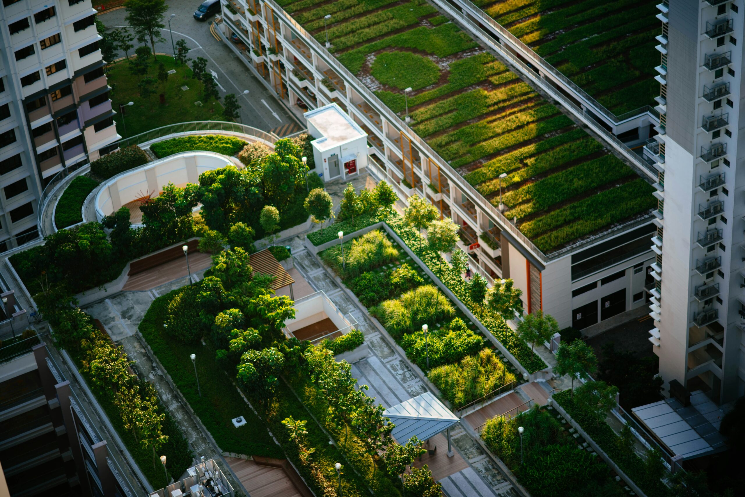 Urban Farming